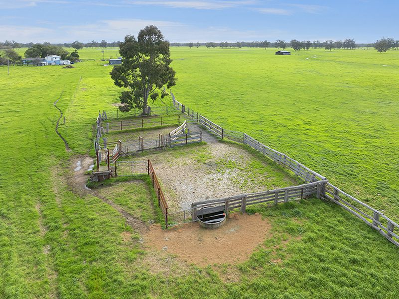 972 CAPEL TUTUNUP ROAD, Tutunup