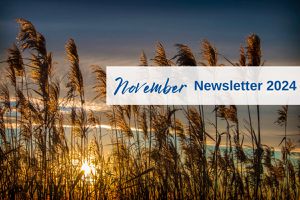 November Newsletter