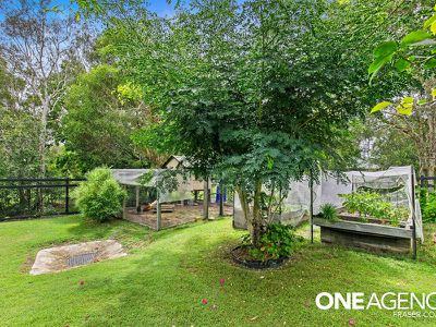 29 Senor Avenue, Urangan