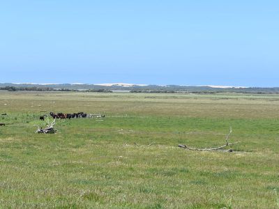 1404 Canunda Frontage Road, Millicent