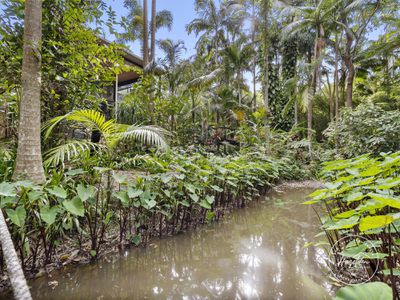11 Annie Street, Landsborough