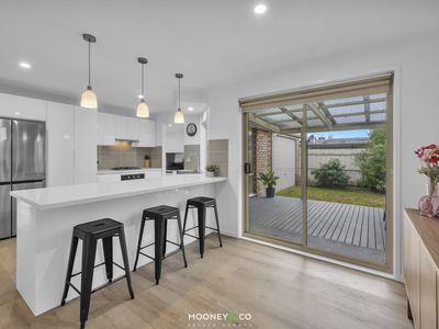 2 / 41 Frank Street, Frankston