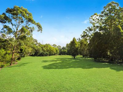 47 Birdsong Drive, Mooloolah Valley