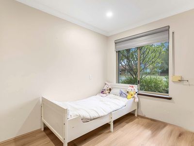 163 Rostrata Avenue, Willetton