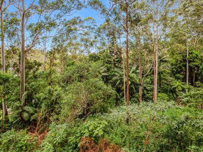 77 Contour Road, Tamborine Mountain