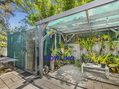 22 Silver Wattle Drive, Medowie