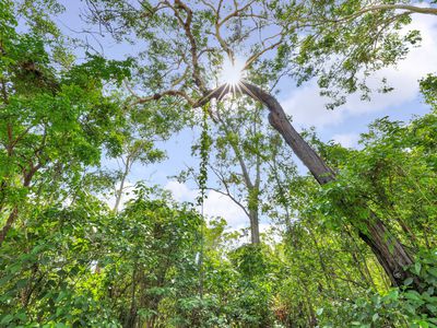 280 Beddington Road, Herbert