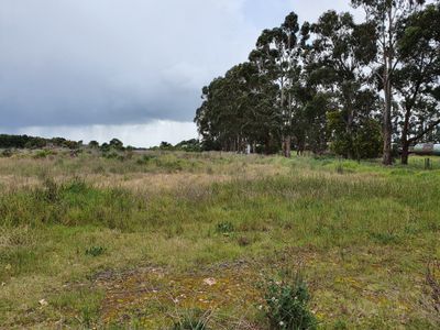 Lot 510, McIntyre Road, Millicent