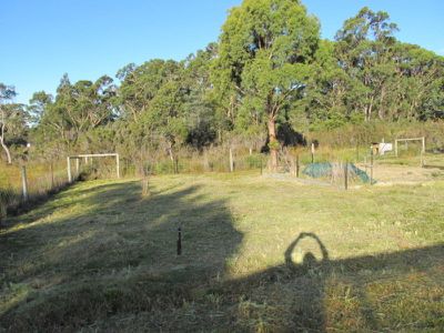 216 Lune River Road, Lune River
