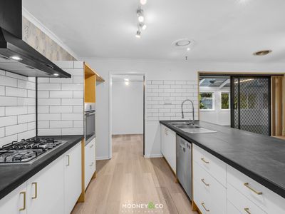 8 Sandpiper Place, Frankston