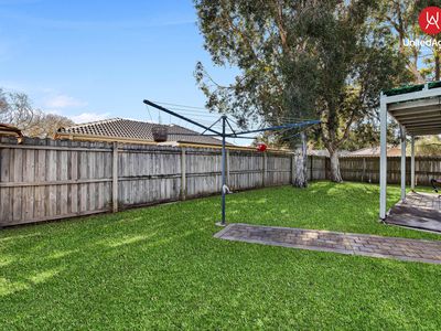 36 Todd Court, Wattle Grove