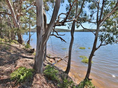 66 Hardakers Road, Pambula