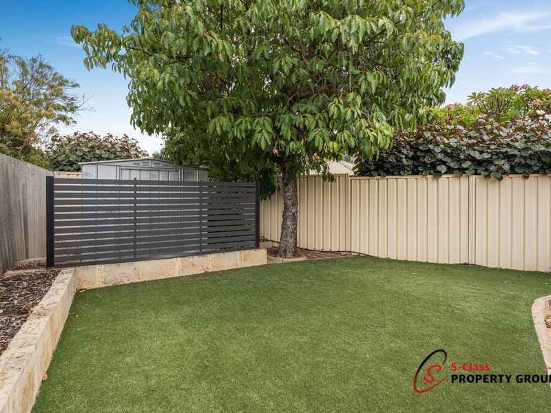163 Rostrata Avenue, Willetton