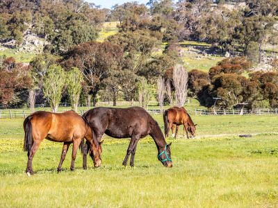 552 Upton Rd, Avenel