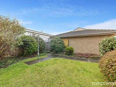 43 Alma Terrace, Newport