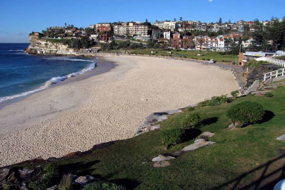 Bronte