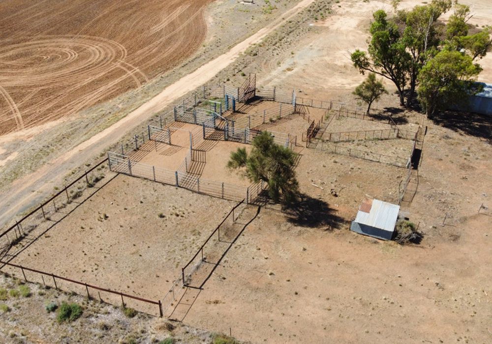 555 Mitchell Highway, Nyngan