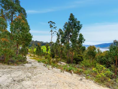 13 Eva Gully Road, Brooks Bay