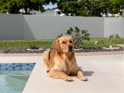 38 TARAWA STREET, Parrearra