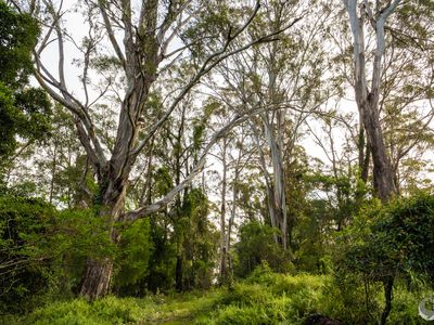 759 Old Highway, Narooma