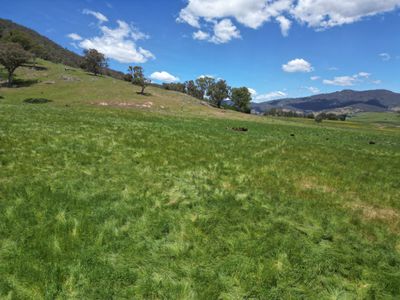 Lot 1, Sec 19, "The Block" Murray Valley Highway, Bullioh