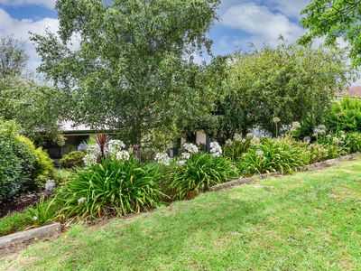 6 Birdwood Avenue, Mount Gambier