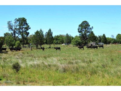 8299 Oxley Highway, Gunnedah