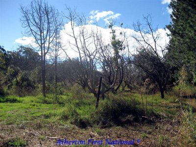 Herberton