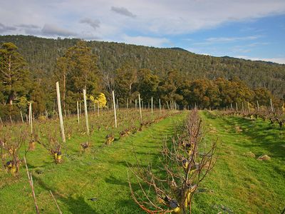 Lot 1, 1529 Huon Highway, Lower Longley