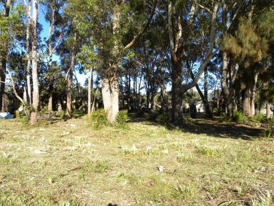 Lot 81, 154 Jacobs Drive, Sussex Inlet