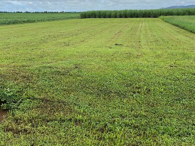 89 AERODROME ROAD, Mundoo