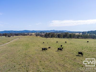 391 Carrot Farm Road, Deepwater