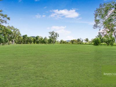 4 Cordingley Road, Alligator Creek