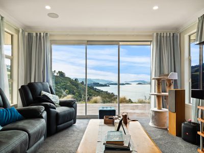 25 Kakapo Street, Saint Leonards