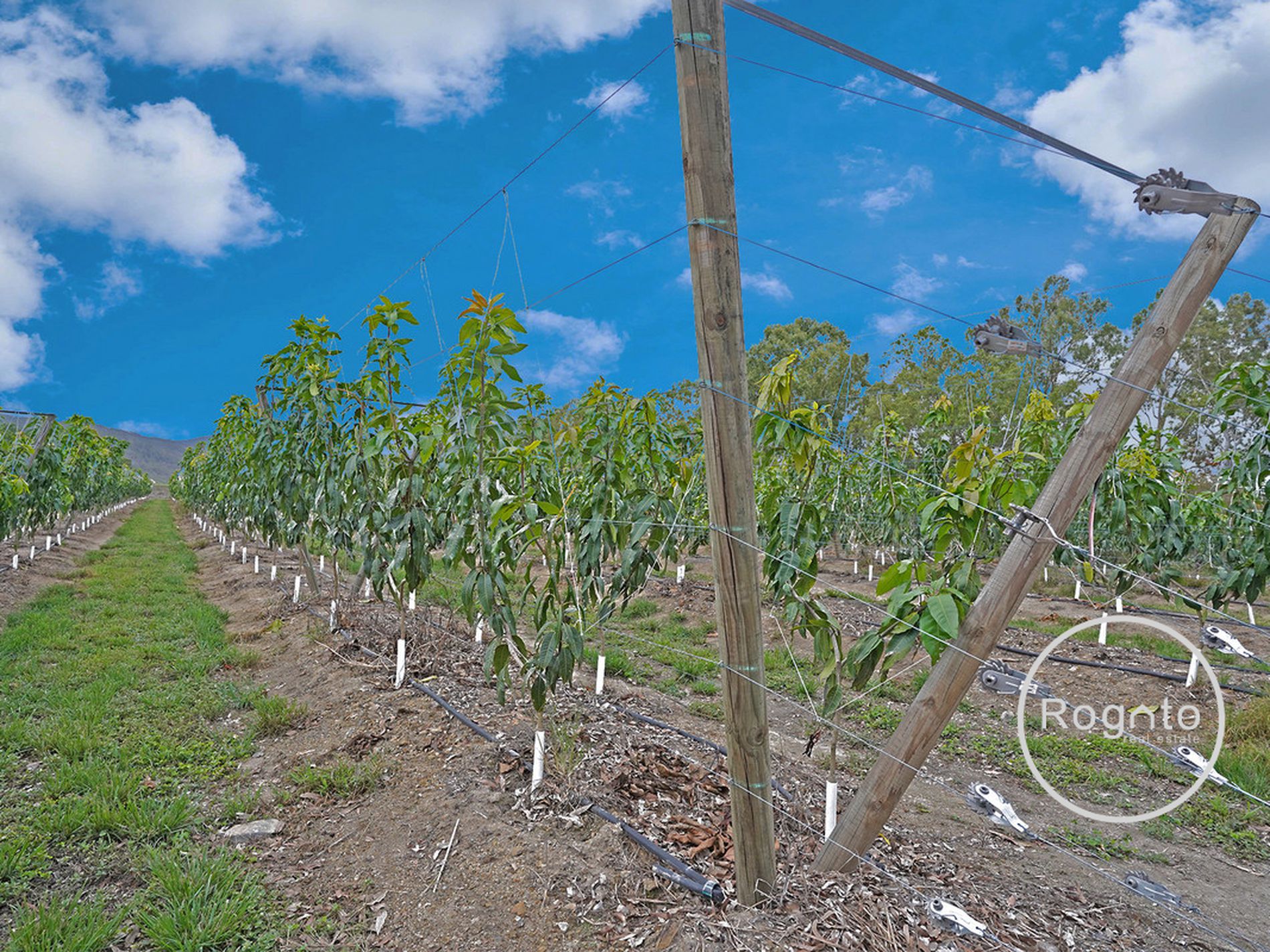 387 Fassio Road, Mareeba