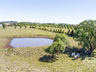 74 East Pandora Road, Glen Innes