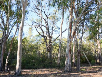 Riverview Drive, Barham