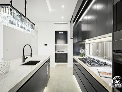 61 Feathertail Avenue, Marsden Park