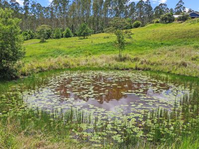 Nimbin
