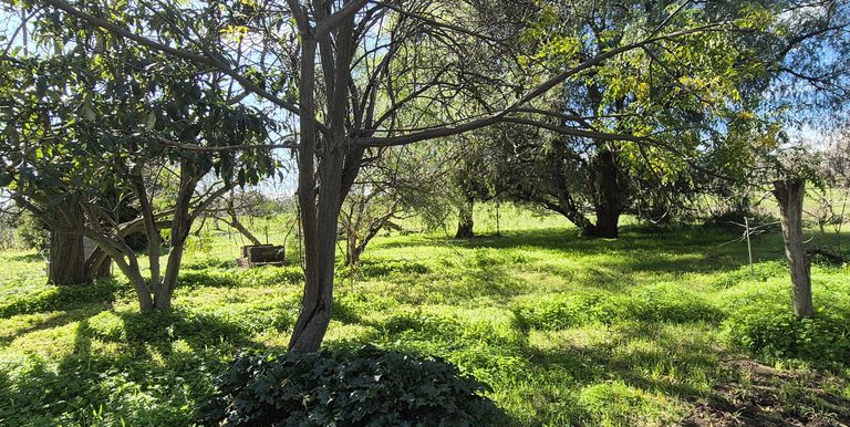 10 Dunnings Road, Balmattum