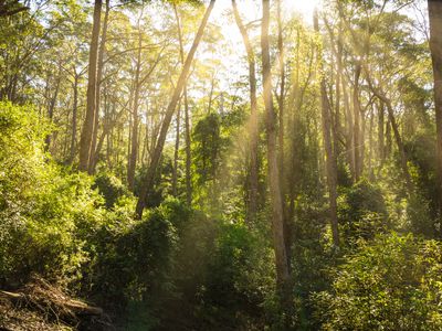 9052 Princes Highway, Tilba Tilba