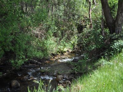 2955 Benambra-Corryong Road, Nariel Valley