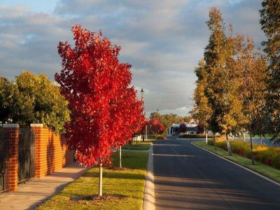 Arlington Park Estate, Wangaratta