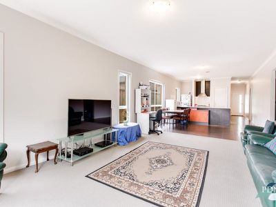 16 Brimstone Drive, Tarneit