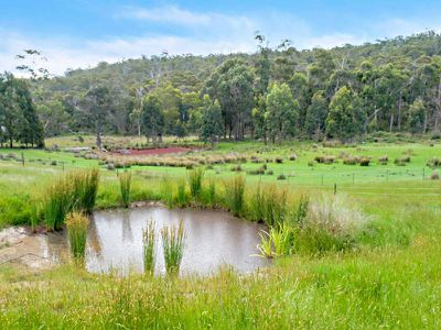 95 Rocky Bay Road, Deep Bay