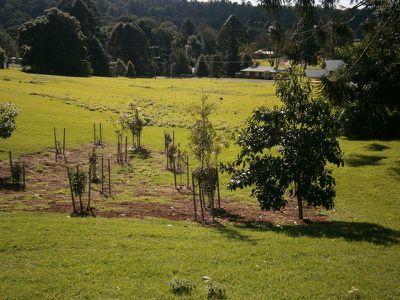 27 Firefly Drive, Bunya Mountains