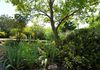 4 Valerie Place, Orange