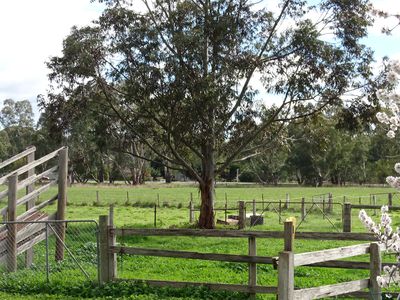 21 Callen Street, Seymour