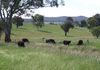 48 Lower Lewis Ponds Road, Orange
