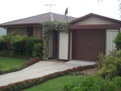 Blackbutt